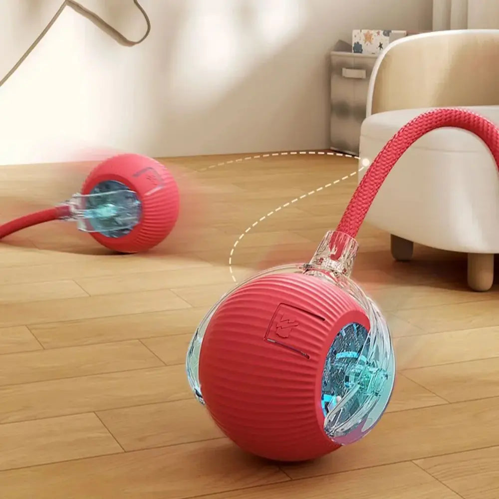 SmartMouseBall – Interaktywna Kula Treningowa dla Kota i Psa z Ogonkiem, na USB