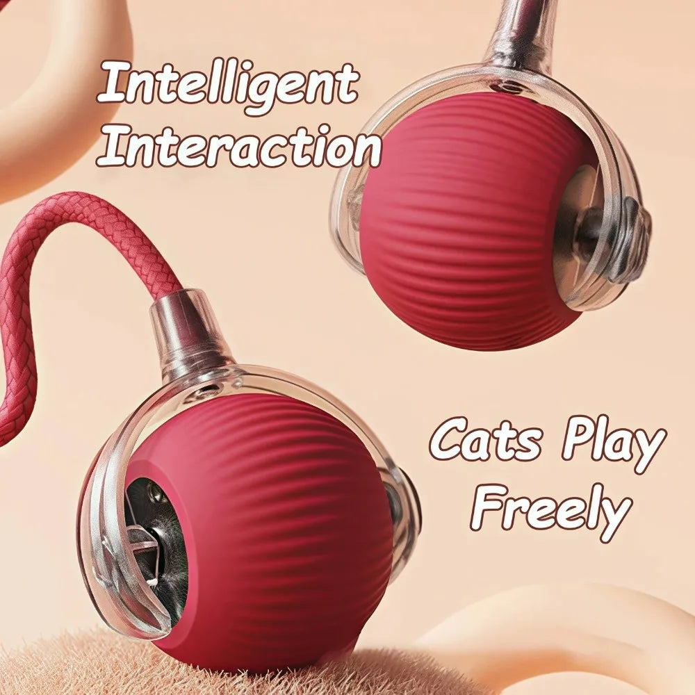 SmartMouseBall – Interaktywna Kula Treningowa dla Kota i Psa z Ogonkiem, na USB