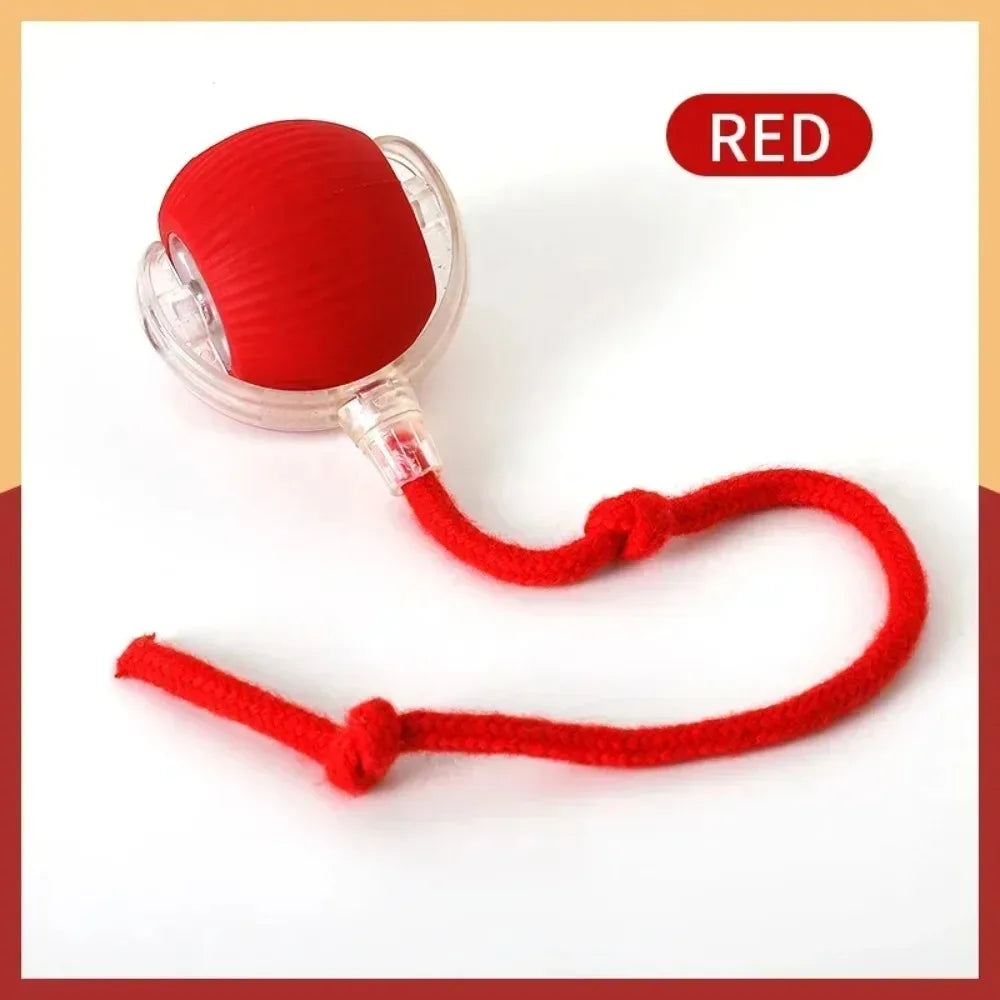 SmartMouseBall – Interaktywna Kula Treningowa dla Kota i Psa z Ogonkiem, na USB