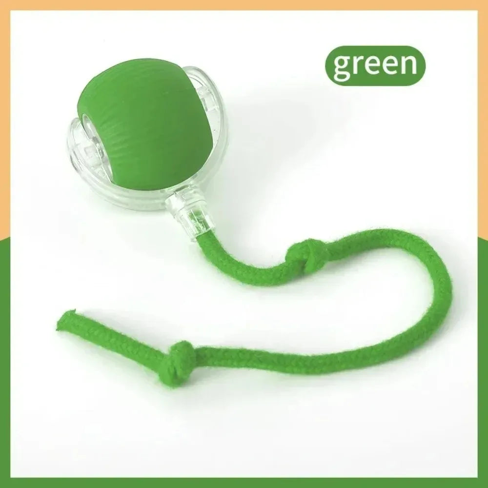 SmartMouseBall – Interaktywna Kula Treningowa dla Kota i Psa z Ogonkiem, na USB