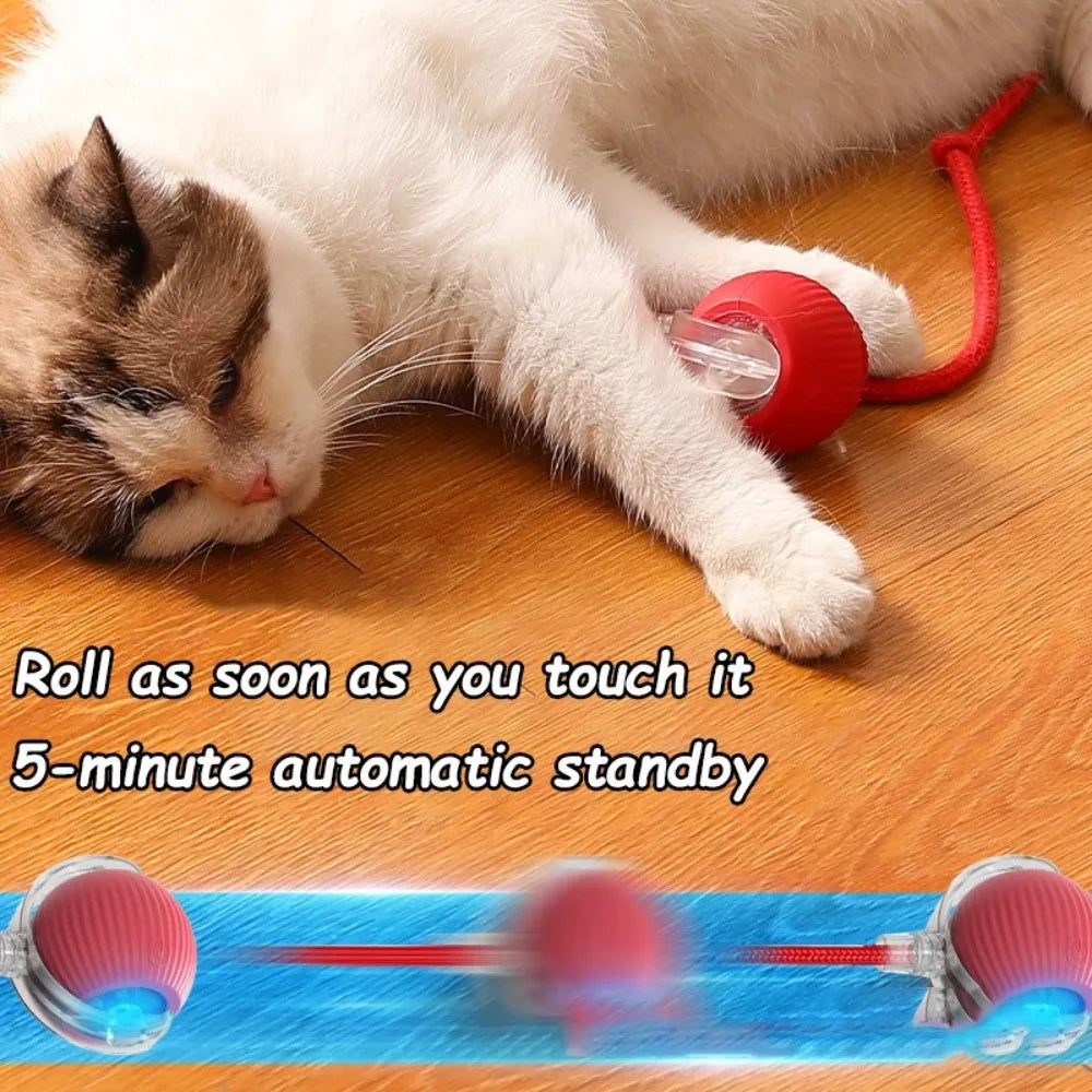 SmartMouseBall – Interaktywna Kula Treningowa dla Kota i Psa z Ogonkiem, na USB