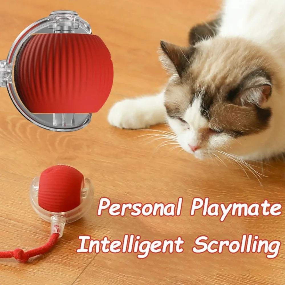 SmartMouseBall – Interaktywna Kula Treningowa dla Kota i Psa z Ogonkiem, na USB